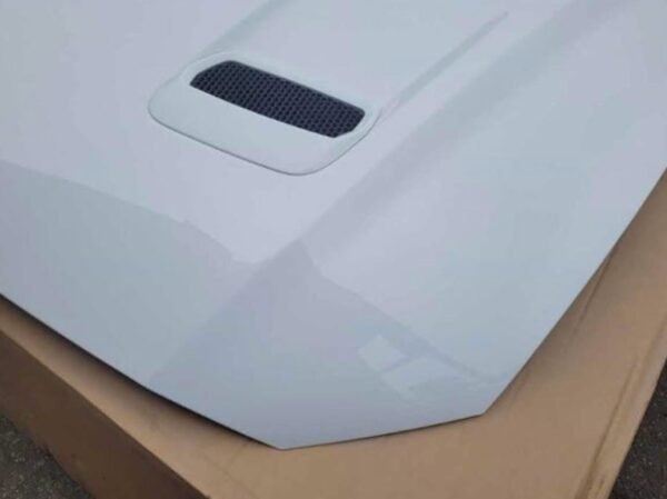 2018-2023 Mustang GT used OEM hood (YZ paint) – Great condition, no damage! - Image 10