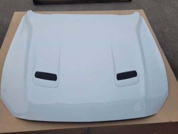 2018-2023 Mustang GT used OEM hood (YZ paint) – Great condition, no damage!