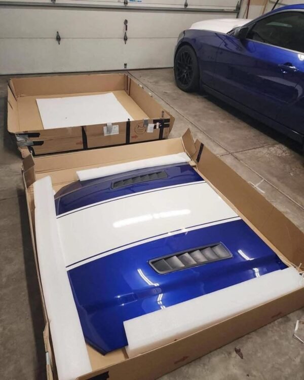 2013 Mustang GT Hood