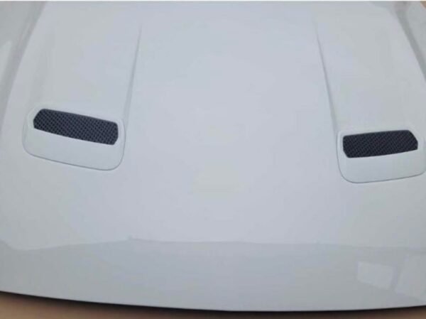 2018-2023 Mustang GT used OEM hood (YZ paint) – Great condition, no damage! - Image 5