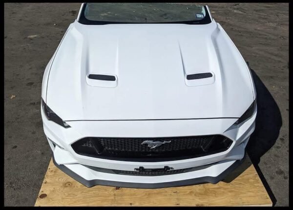 2018-2021 Ford Mustang GT front clip