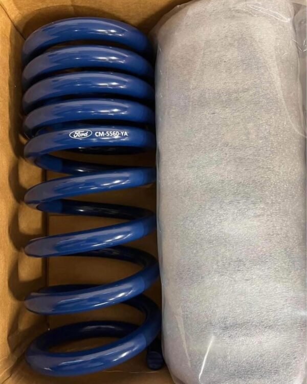2015-23 Mustang Track Handling Package - Image 4