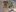 Granby Mountain Blacktop Auto Parts and Accessories