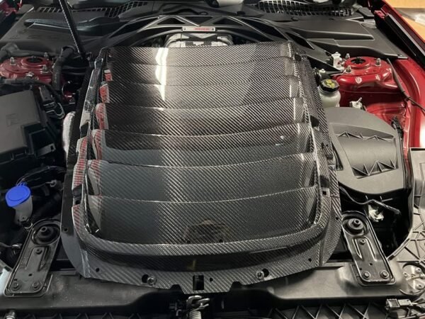 Python Shelby GT500 Carbon Fiber Hood Vent - Image 7