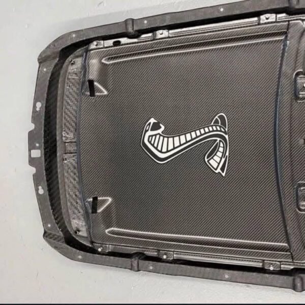 GT500 carbon fiber hood Hood vents - Image 17